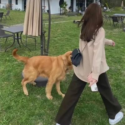 一个人的生命